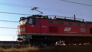 ﾚｯﾄﾞｻﾝﾀﾞｰEF510-7牽引高速貨物4095ﾚ　名古屋→新潟