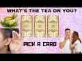 WHAT’S THE TEA ON YOU? 🧐🤔☕️|🔮PICK A CARD🔮|