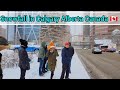 Snowfall in Calgary Alberta Canada  #calgary #canada #alberta #snow