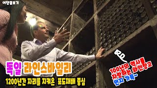 【리빙tv】그린투어리즘 도시와 농촌의 행복한 공존-독일 라인스바일러