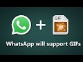 How to Send GIF Images in Whatsapp
