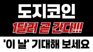 [도지코인 전망] 도지 1달러 곧 간다 이 날 기대해 보세요