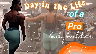 Day in the Life of A Bodybuilder | Training for the Olympia ep.27