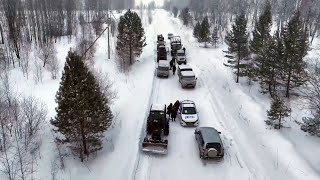 Банда «черных лесорубов» орудовала на территории Искитимского района // \