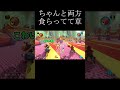 32意しかないリボンロード【マリカ】 shorts