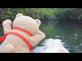 ted 南ぬ島トリップ＆supツアー