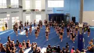 VAS Senior Level 2 Showcase