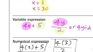 1.1 Evaluate Variable Expressions