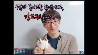 구독과 좋아요를 눌러주세요, 강요죄일까요? (feat.협박죄)