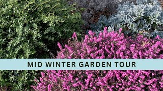 February Garden Tour: Color and Texture