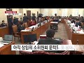 국민투표법 개정 제자리걸음...복병 만난 개헌 ytn