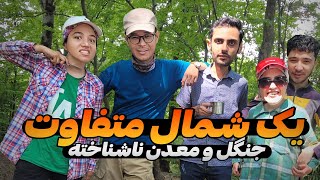 ما تو جنگل دور افتاده کمپ کردیم ( قسمت اول ) - ولاگ سفر شمال