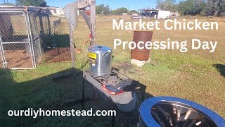 Chicken Processing Day