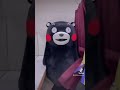 カーテン開けて閉めるだけ✌️🧩 リアルピース japanese 熊本 kumamoto くまモン kumamon カーテン