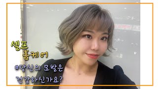 셀프모발케어❣️|현직미용사가 알려드리는홈케어방법 |self hair care