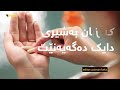 هؤكاره كانى كه مى شيرى دايك