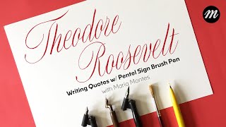 Writing Script Brush Pen Calligraphy | Quote by Theodore Roosevelt