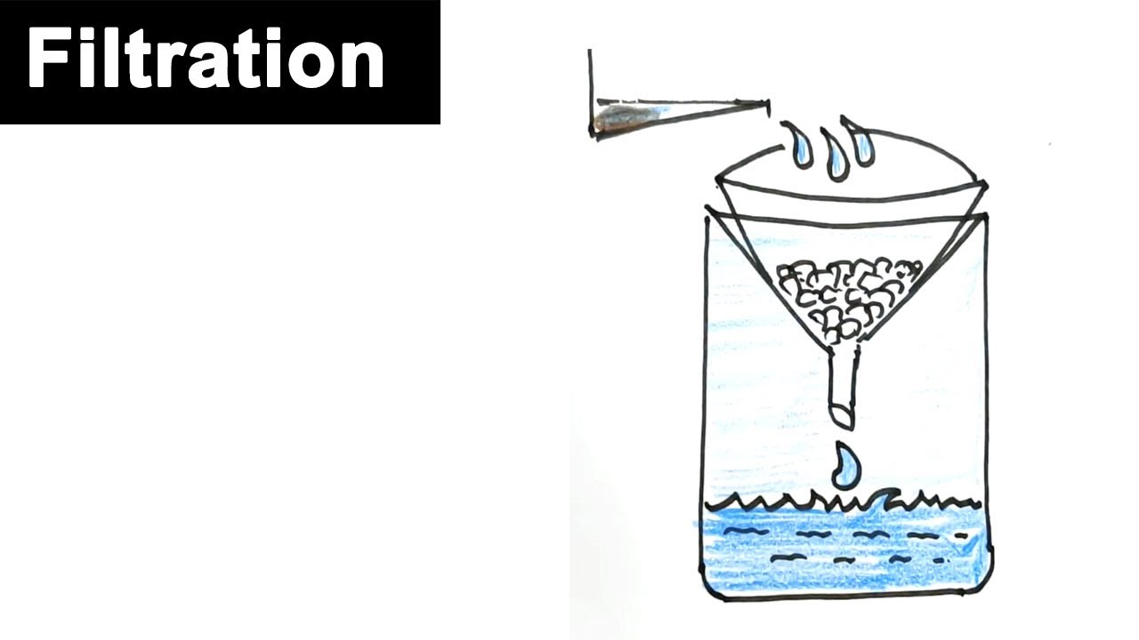 Water Filtration Diagram For Kids