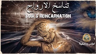 Souls Reincarnation (Between science and myth)_ Metaphysics Documentary