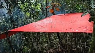 DI TERJANG HUJAN BADAI SAAT CAMPING DI HUTAN | SOLO CAMPING