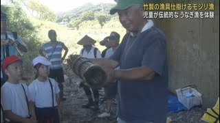 小学生が伝統的なウナギのモジリ漁を体験　静岡・下田市