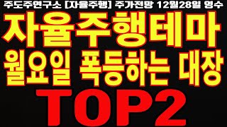 [자율주행테마 주가전망] 월요일 폭등하는 대장 종목 TOP2!! 지금이 가장 저렴합니다! 주도주연구소DS영수