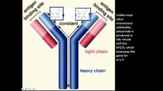 Anaphylaxis (Phil Lieberman, MD)