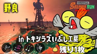 野良 - 3枚目の金プレートまであと金鱗1枚！【スプラトゥーン３/サーモンランNEXTWAVE】