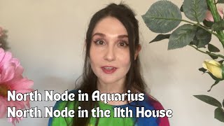 Channeling Talents Towards Greater Purpose: North Node in Aquarius & the 11th House