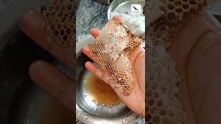 എന്റെ പറമ്പിലെ കാട്ടുതേന്‍  കാഴ്ച്ചകള്‍ 😋🥰🐝 #honey #kannur #kerala #india #nature #pure