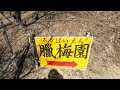 宝登山ロープウェイで、ろうばい園を散策！山頂からの眺めは最高！宝登山神社から宝登山小動物公園までお散歩、入園料は500円子供は半額でリーズナブル。ちょっと道を間違えちゃったけど、楽しいところです。