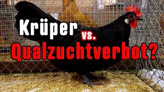 Krüper Hühner: Kurzbein-Gen ist ein Letalfaktor – wie gehen wir jetzt damit um?