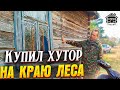 Купили хутор в лесу. В доме жила гадюка. Обзор хутора