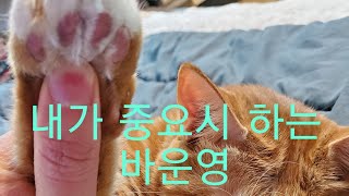 [1인바창업] 내가 바를 운영할때 가장 중요시 하는것!