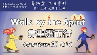 Bread of Life Church Torrance  洛杉磯靈糧教會   2025年 2月9日