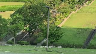 【瀬野川公園】未知との遭遇！？