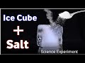 Easy Science Experiment in Home | ice Science Trick | Ice Cube + Salt Trick | #shorts