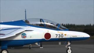 入間航空祭 2012 ブルーインパルス 鳥が衝突