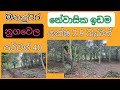 no 158 මහනුවර නුගවෙල පර්චස් 40 ක්