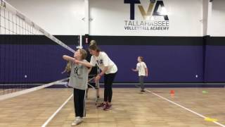 Volley Stars \u0026 Train And Play 2/2017!