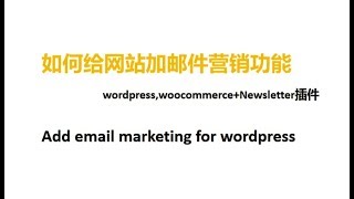 如何给网站加邮件营销功能 Newsletter plugin-Add email marketing for wordpress