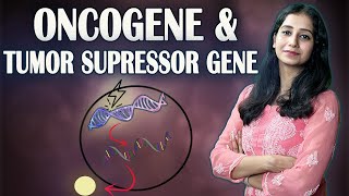 Protooncogene, Oncogene and Tumor Suppressor Gene II Cancer Biology