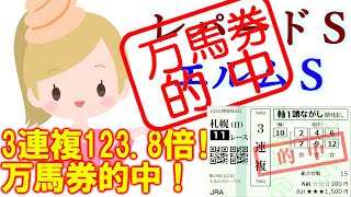 123.8倍！万馬券的中！【競馬】レパードS エルムS  2024 予想(土日夕方の新潟競馬予想はブログで)