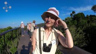 Kirstenbosch Bird Walk