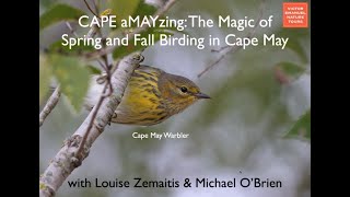 CAPE aMAYzing The magic of spring and fall birding in Cape May with Michael O'Brien \u0026 Louise Zemaits