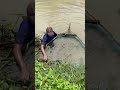 Amazing Eel Trapping Technique For A Lot Of Big Eels Fish