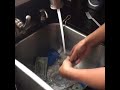 when hiding money goes wrong ..... must see shocking footage