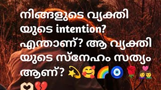 നിങ്ങളുടെ വ്യക്തി യുടെ intention? എന്താണ്? ആ വ്യക്തി യുടെ സ്നേഹം സത്യം ആണ്? 💫🥰🌈🧿🌹👩‍❤️‍👨🫶🏻💔