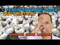 Beternak Bebek Petelur Dengan Kandang Bebek Anti Bau