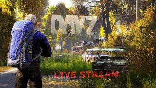 🔴DayZ/2025 წლის პირველი სტრიმი